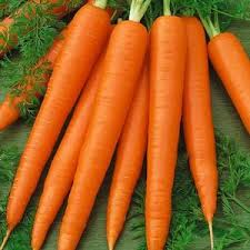 Carrot Vegetable Seeds all Bangladesh Delivery....