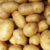 manila potato