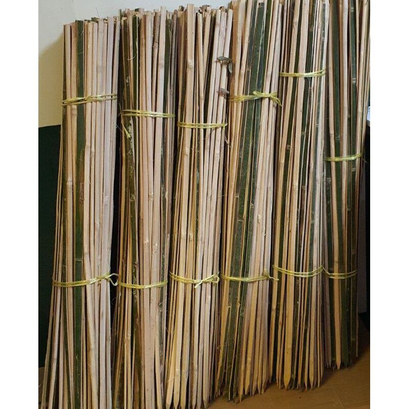 plant support bamboo sticks